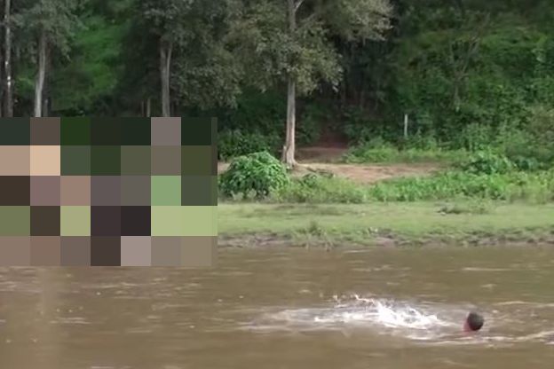 川を流れる男性を助ける動物.jpg
