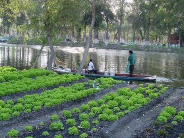 astec-Camas_chinampas640.jpg
